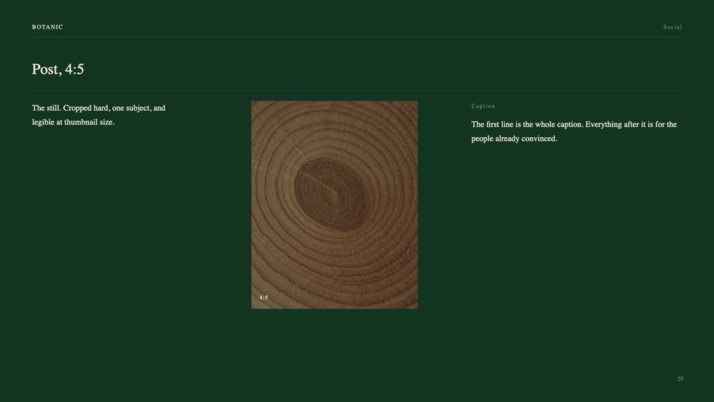 Botanic Social slide