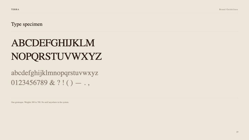 Terra Brand Guidelines slide