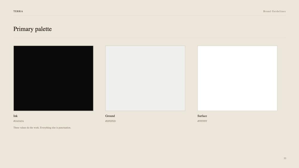 Terra Brand Guidelines slide