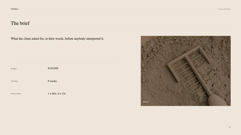 Terra Case Study slide